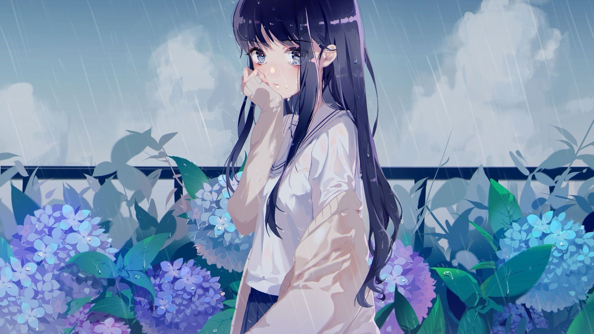 王的隐藏画师封面